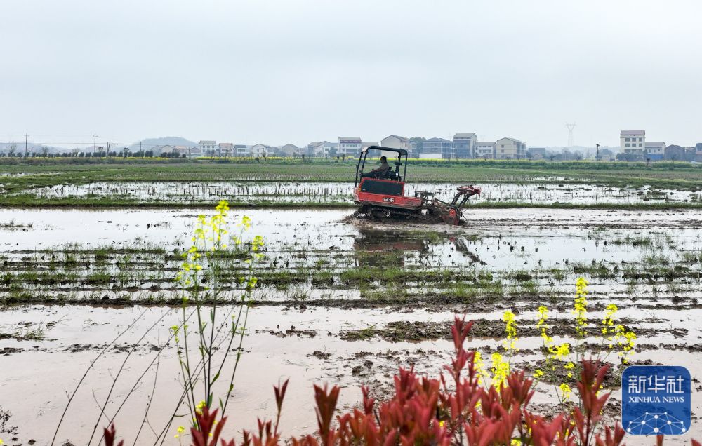 春分将至农事忙