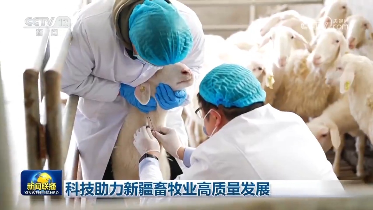 科技助力新疆畜牧业高质量发展