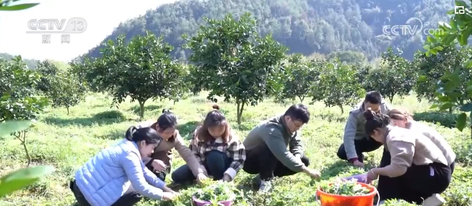“顶流”“增量”“焕新”“强劲”……中国经济开年报数据亮眼“多点开花”
