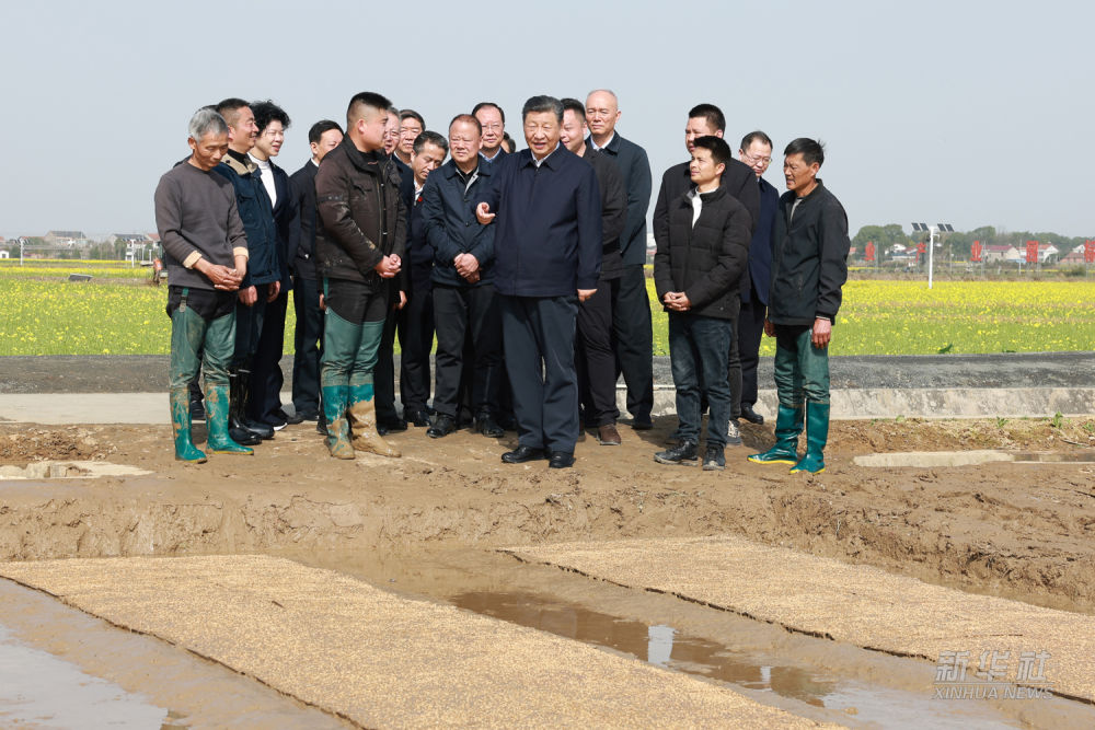 图集｜习近平在湖南常德市考察调研