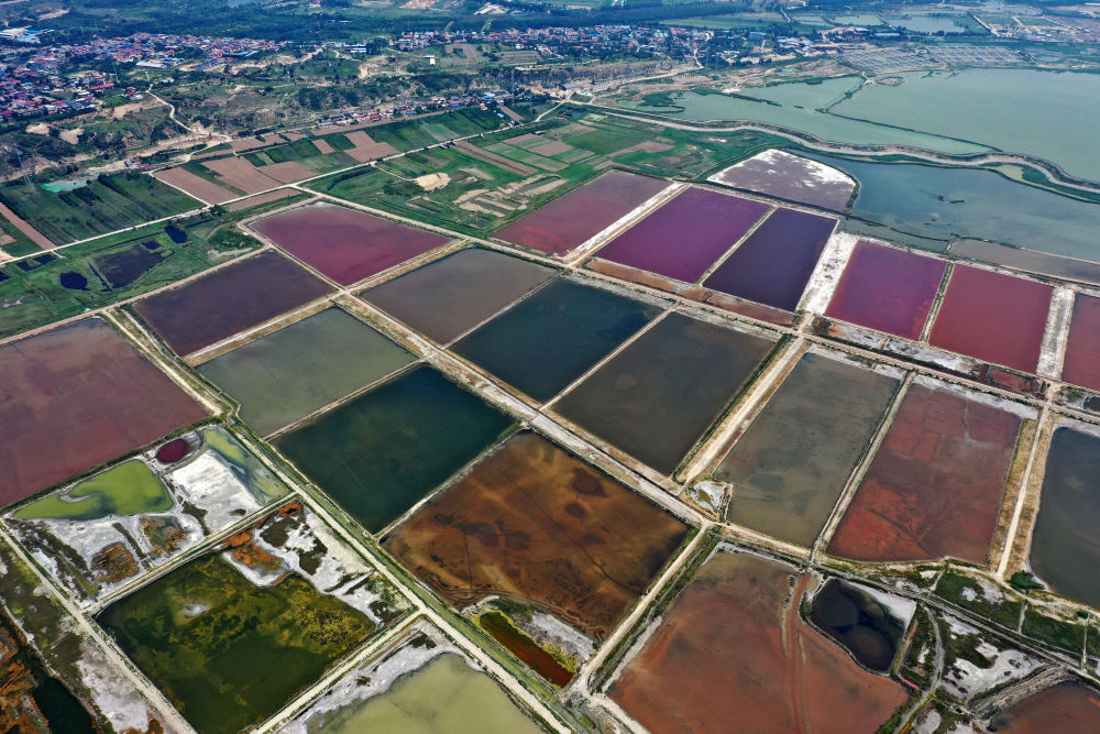 镜观·领航｜奋力谱写中部地区崛起新篇章