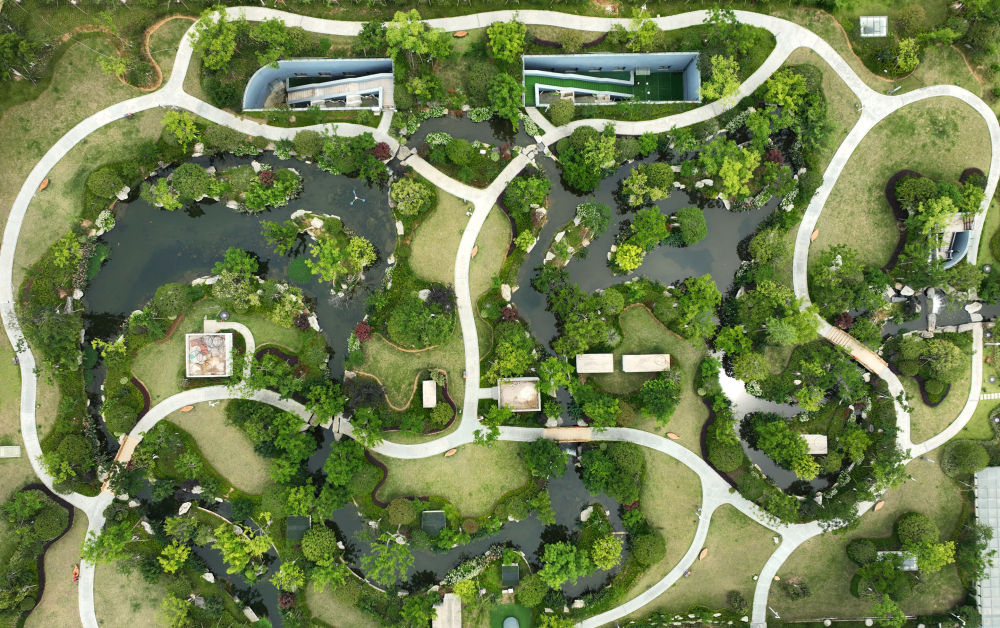 镜观·领航｜奋力谱写中部地区崛起新篇章