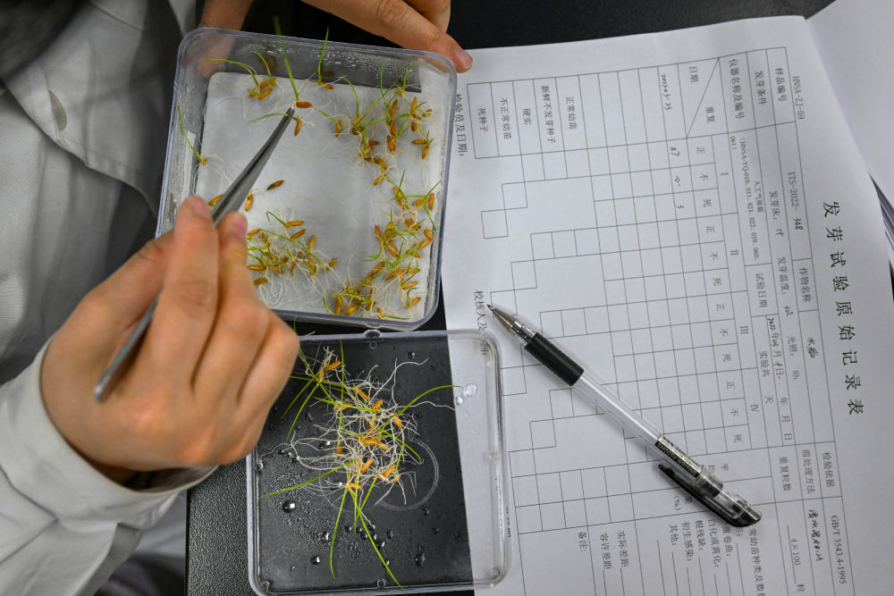 镜观·领航｜奋力谱写中部地区崛起新篇章