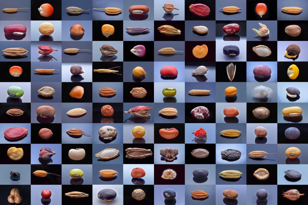 镜观·领航｜奋力谱写中部地区崛起新篇章