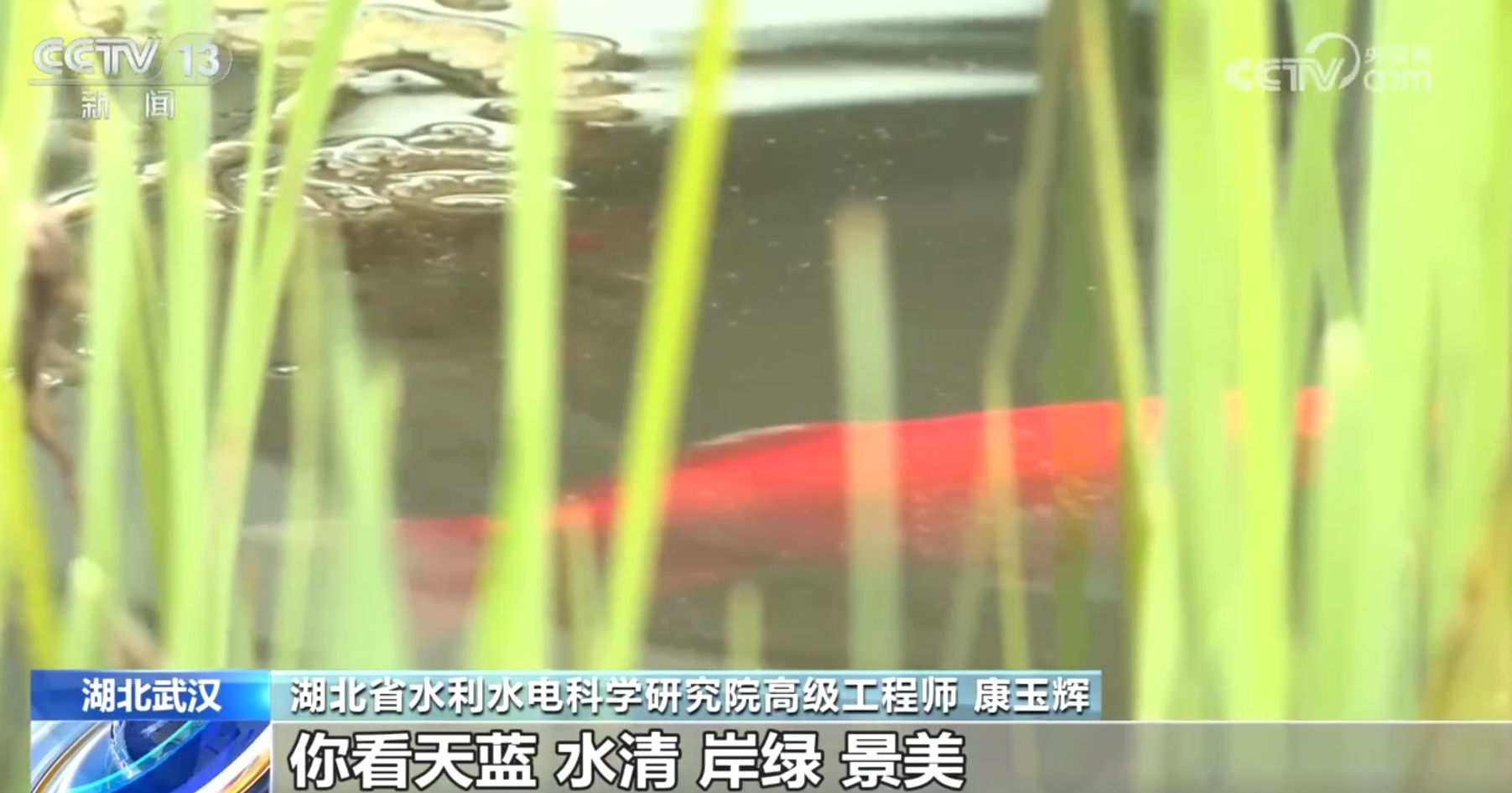 多地春暖花开、生机萌动 水域生态修复成效显著绘就“绿水青山”美景