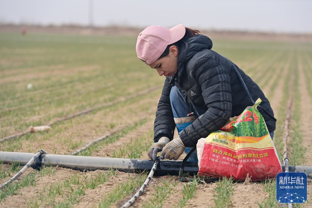 新华全媒＋丨新疆抢抓农时 农作物播种有序推进