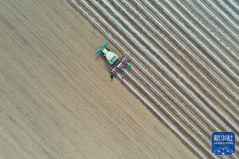 新华全媒＋丨新疆抢抓农时 农作物播种有序推进