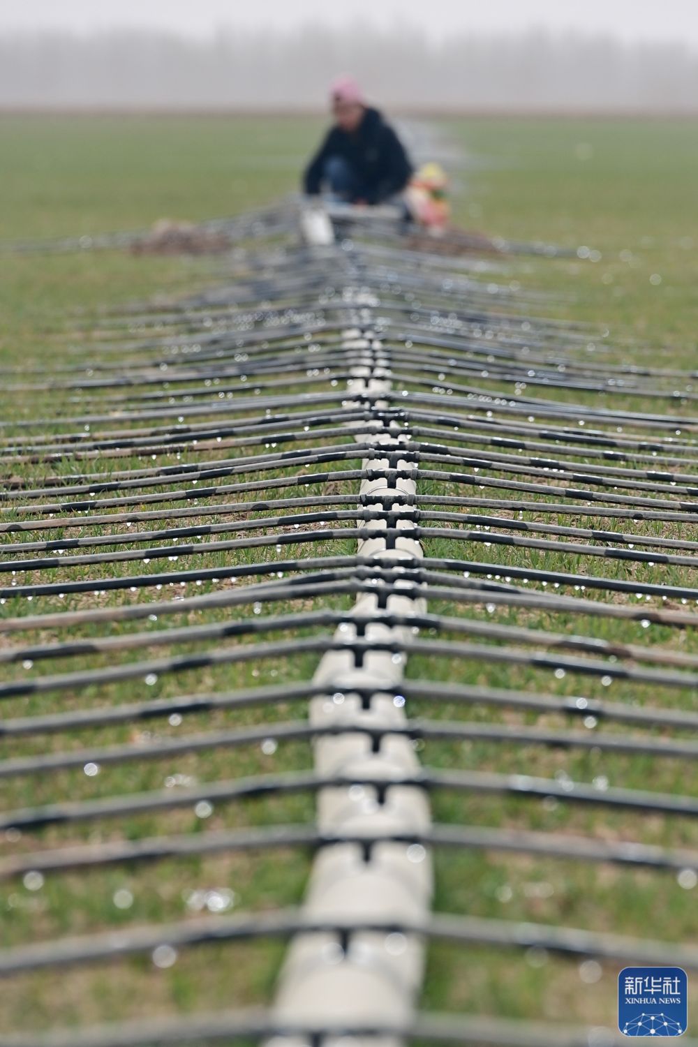 新华全媒＋丨新疆抢抓农时 农作物播种有序推进