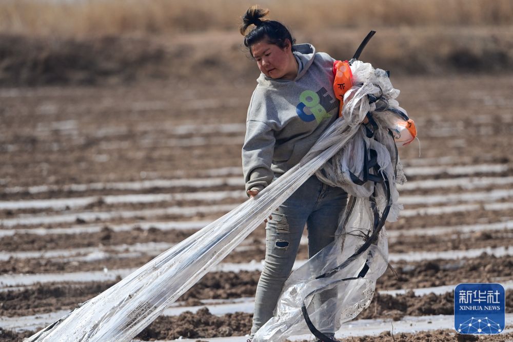新华全媒＋丨新疆抢抓农时 农作物播种有序推进