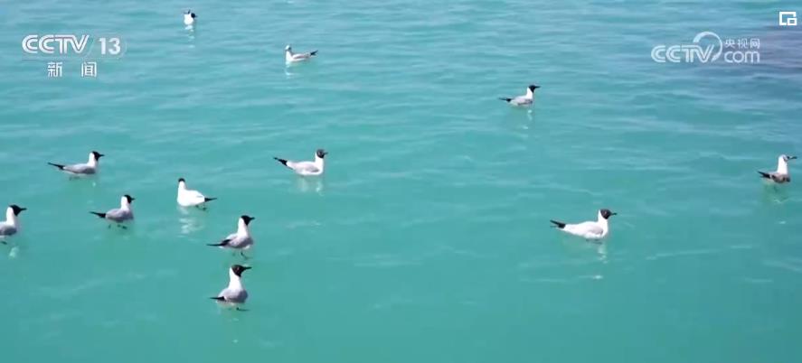 数说经济:结构优化、增速加快 中国经济韧性强、潜力大、活力足