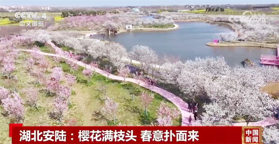 春日中国活力无限 “赏花+”模式升温成为促发展新引擎