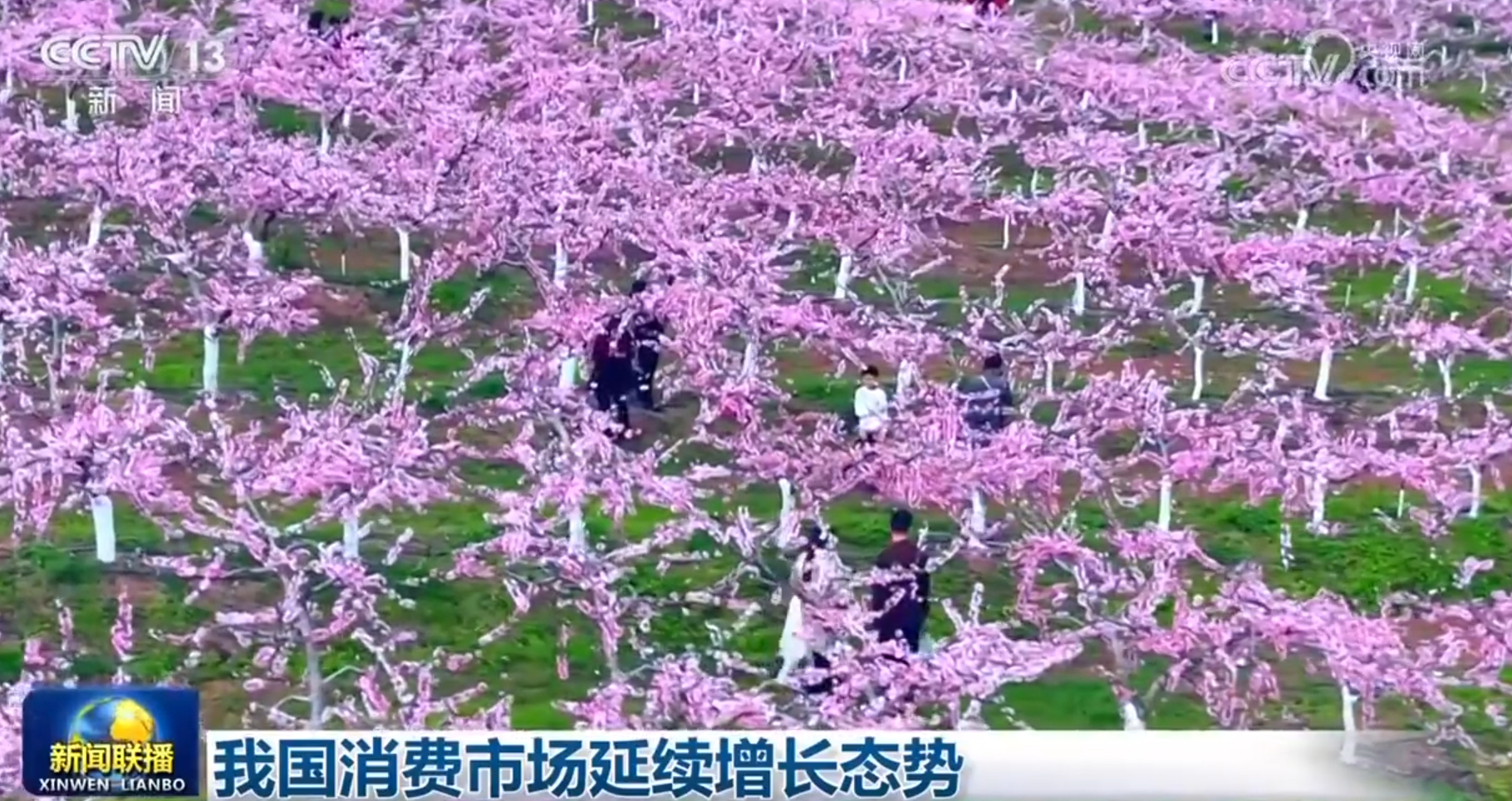 多维度感受中国式现代化万千气象 各行各业迎着春光“拔节生长”