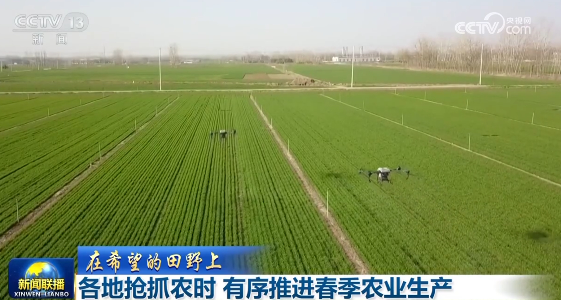 多维度感受中国式现代化万千气象 各行各业迎着春光“拔节生长”