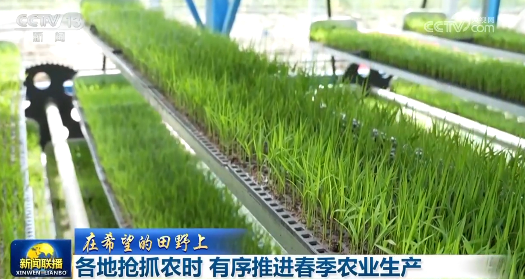 多维度感受中国式现代化万千气象 各行各业迎着春光“拔节生长”