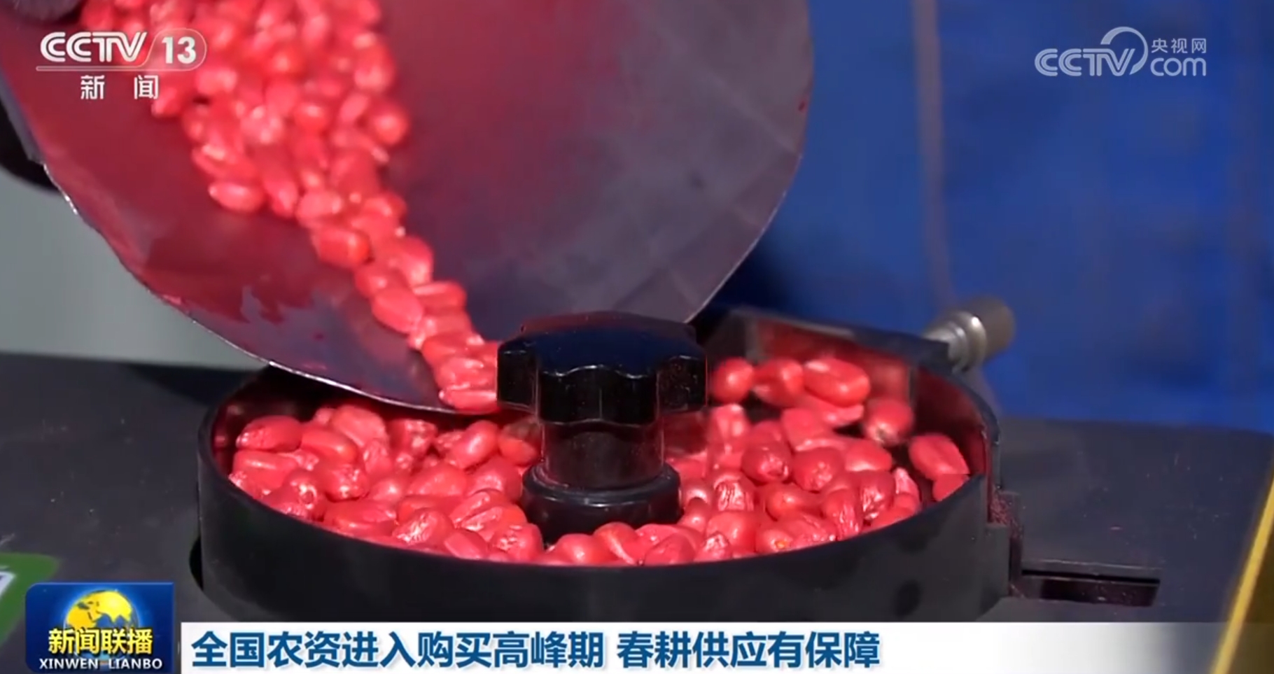 多维度感受中国式现代化万千气象 各行各业迎着春光“拔节生长”