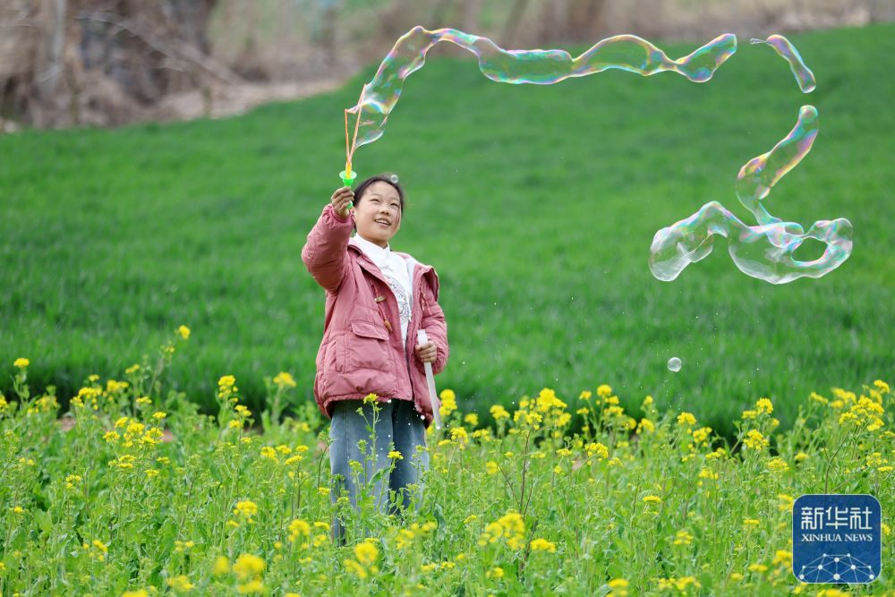 踏青赏花 乐享春光
