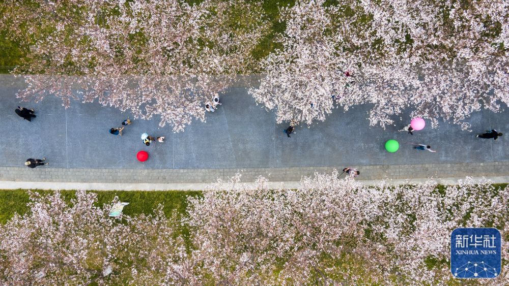 踏青赏花 乐享春光