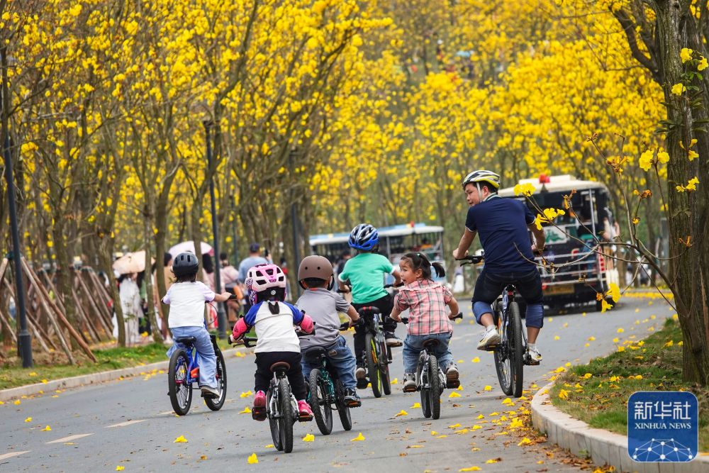 踏青赏花 乐享春光