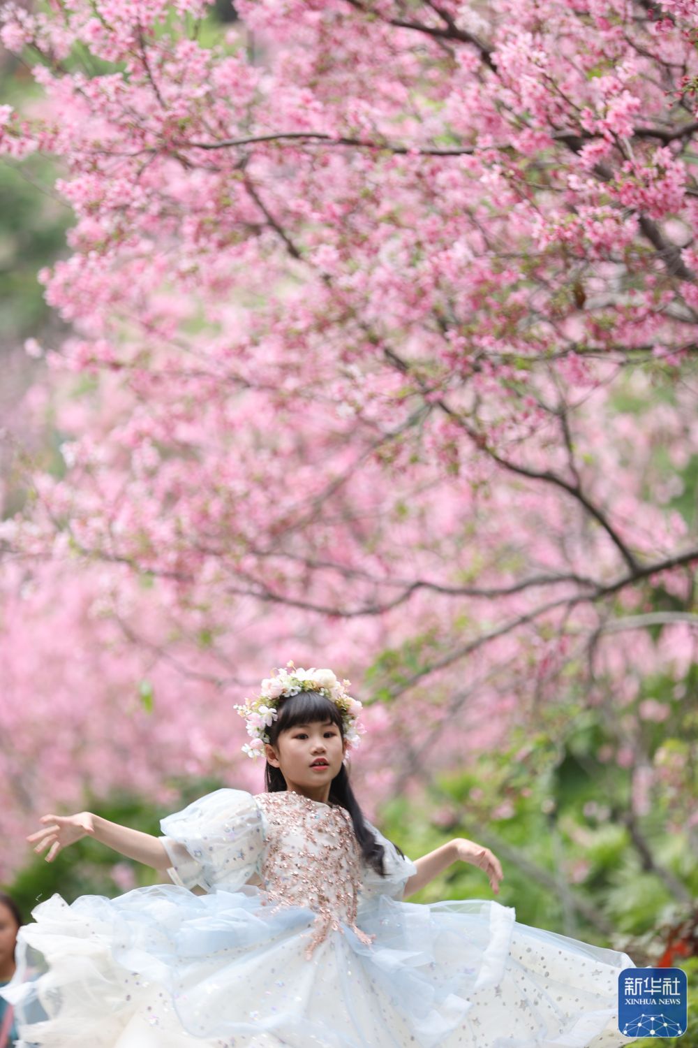 踏青赏花 乐享春光