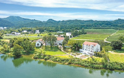 “中国乡村建设与时俱进，不断取得新成绩”