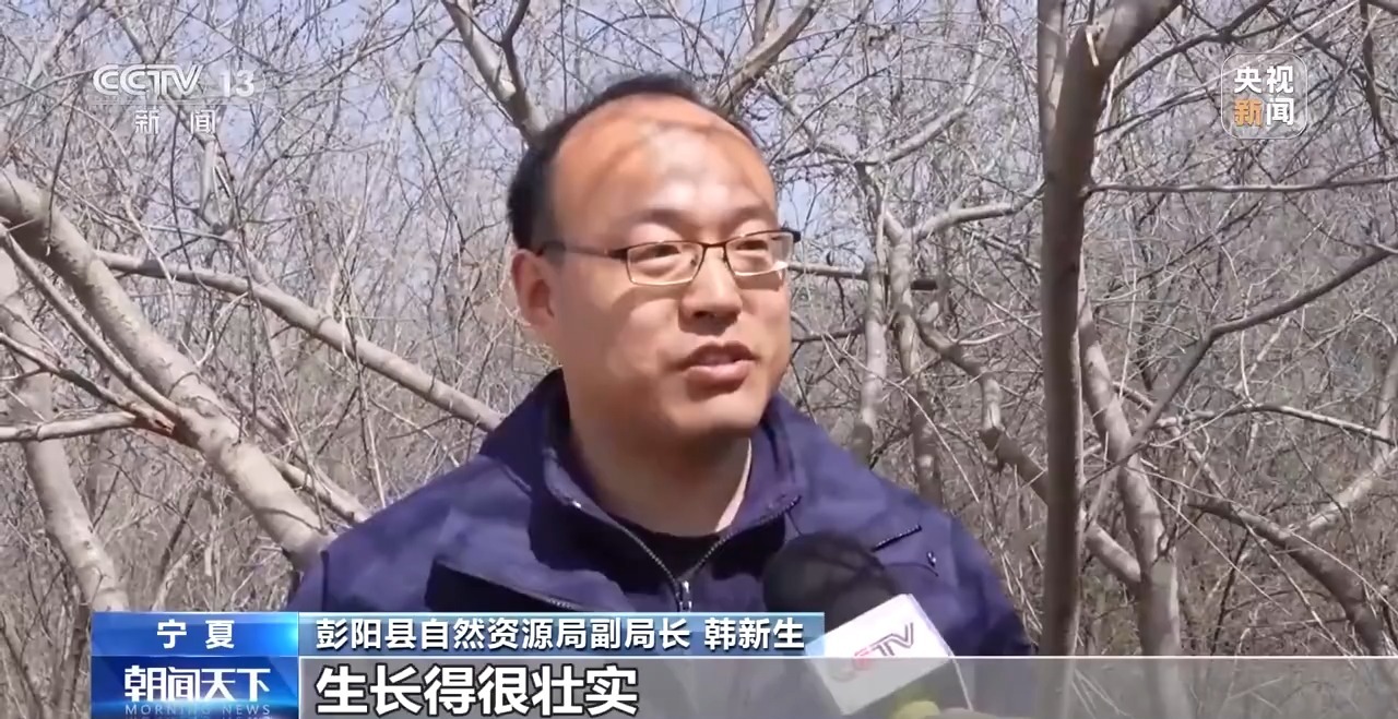 让每滴水发挥最大价值!三北工程攻坚战这样拧紧“水龙头”→