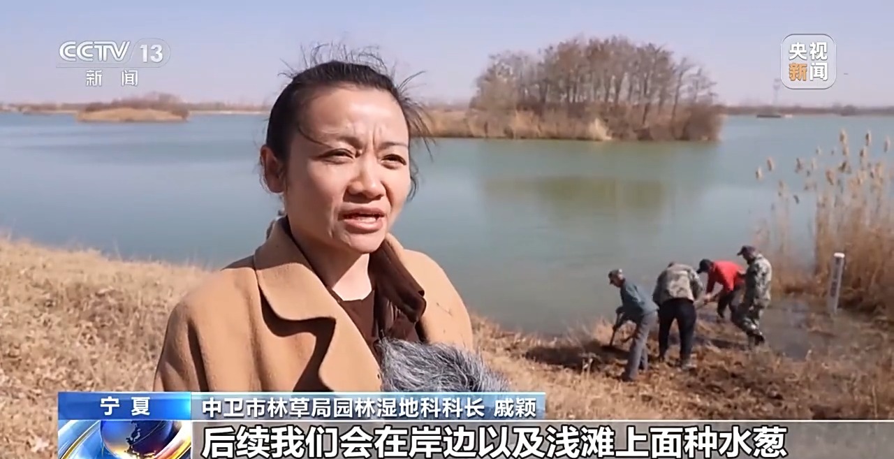 让每滴水发挥最大价值!三北工程攻坚战这样拧紧“水龙头”→