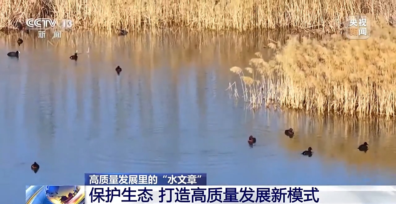 让每滴水发挥最大价值!三北工程攻坚战这样拧紧“水龙头”→