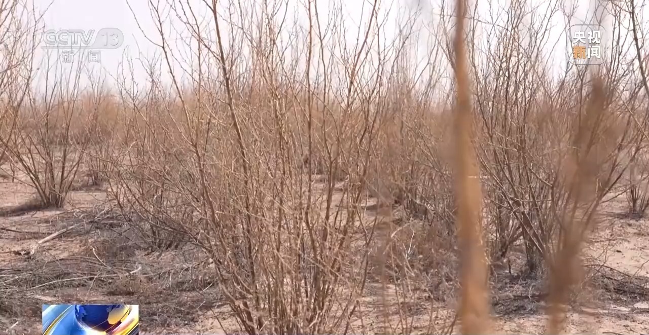 让每滴水发挥最大价值!三北工程攻坚战这样拧紧“水龙头”→