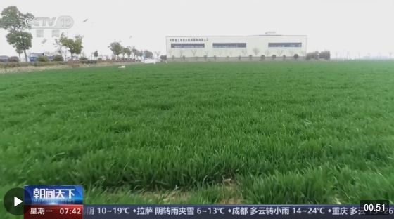 万物“耕”新！全国春播工作正由南向北陆续展开