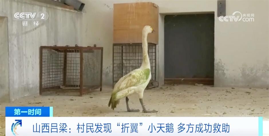 多领域奋发踔厉推动经济进一步回升向好 中国高质量发展“枝繁叶茂”