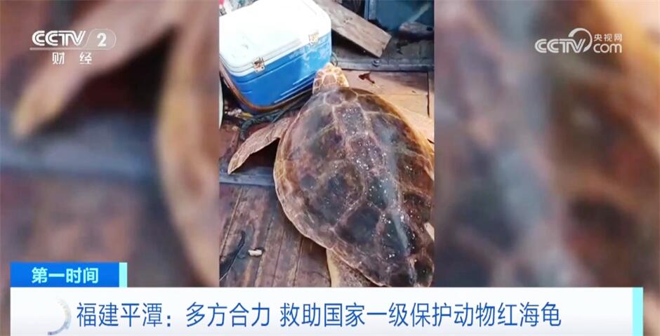 多领域奋发踔厉推动经济进一步回升向好 中国高质量发展“枝繁叶茂”