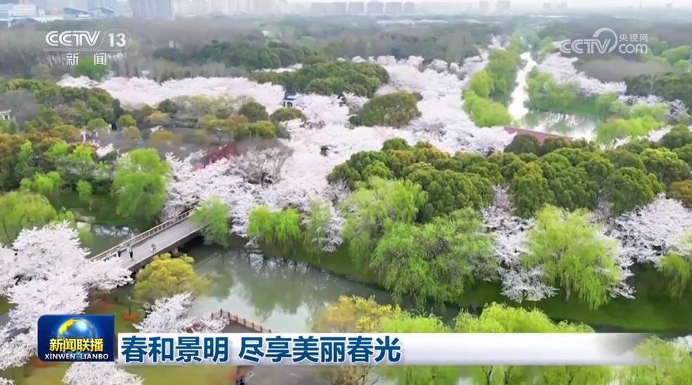 春和景明 尽享美丽春光