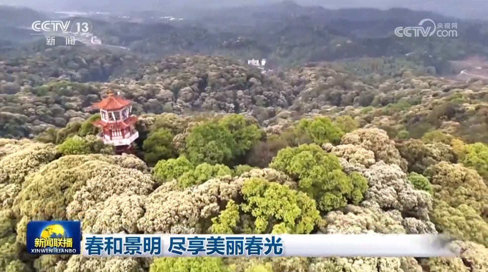 春和景明 尽享美丽春光