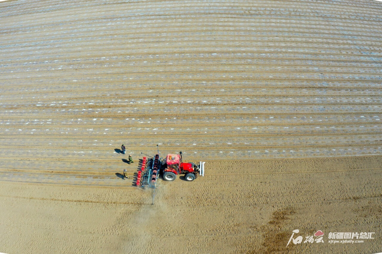 智慧农机“打头阵”，新疆棉花播种大场面又来“治愈”你了!