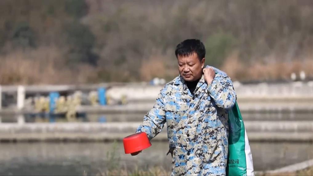新华视点｜老渔民的新答卷：告别“水上漂” 端起“新饭碗”