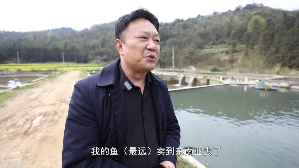 新华视点｜老渔民的新答卷：告别“水上漂” 端起“新饭碗”