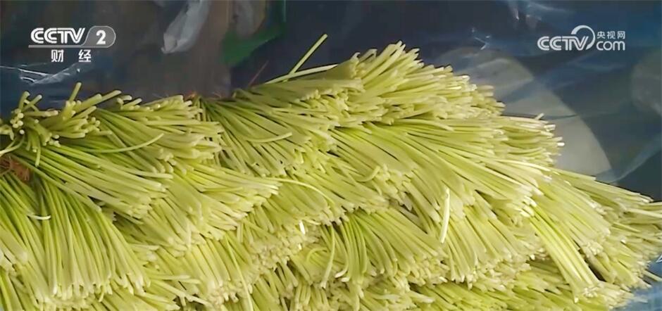 采摘、抢收、捕捞……希望的田野上收获满满“丰”景美 采摘、抢收、捕捞……希望的田野上收获满满“丰”景美