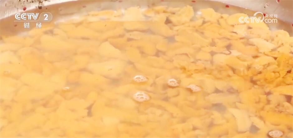 采摘、抢收、捕捞……希望的田野上收获满满“丰”景美 采摘、抢收、捕捞……希望的田野上收获满满“丰”景美