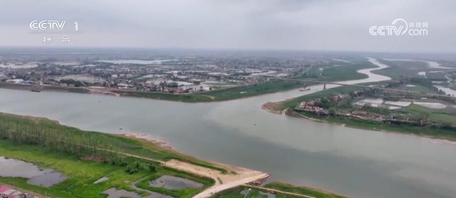 “微笑天使”江豚回来了 诗画长江绘就生态壮美图景