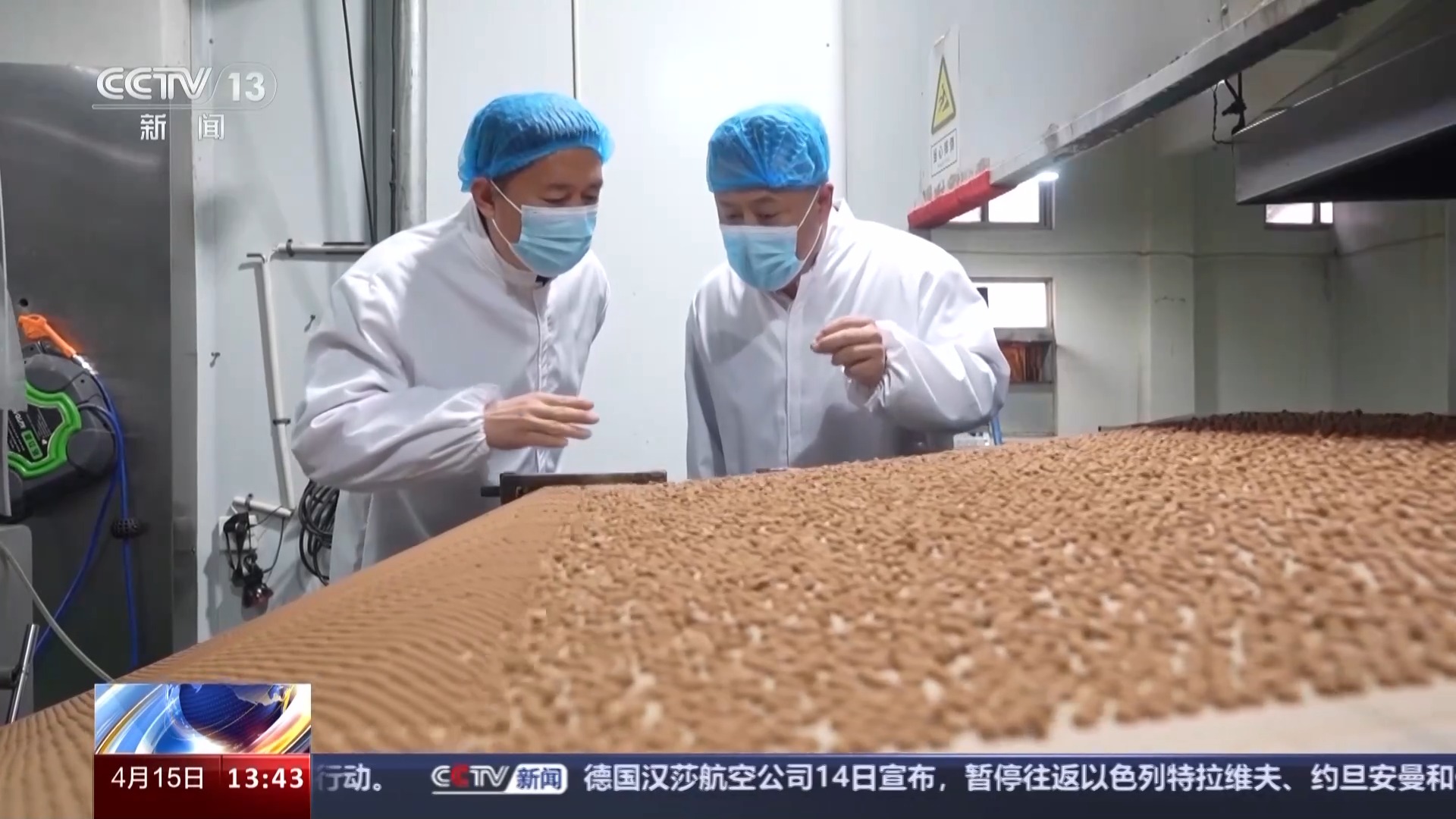 “新质生产力”走出实验室 这些粉条、面包里都有最新科研成果→
