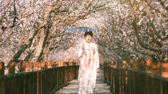 原创歌曲《杏花仙子》音乐视频正式发布 用歌声绘就“新疆第一春”的童话