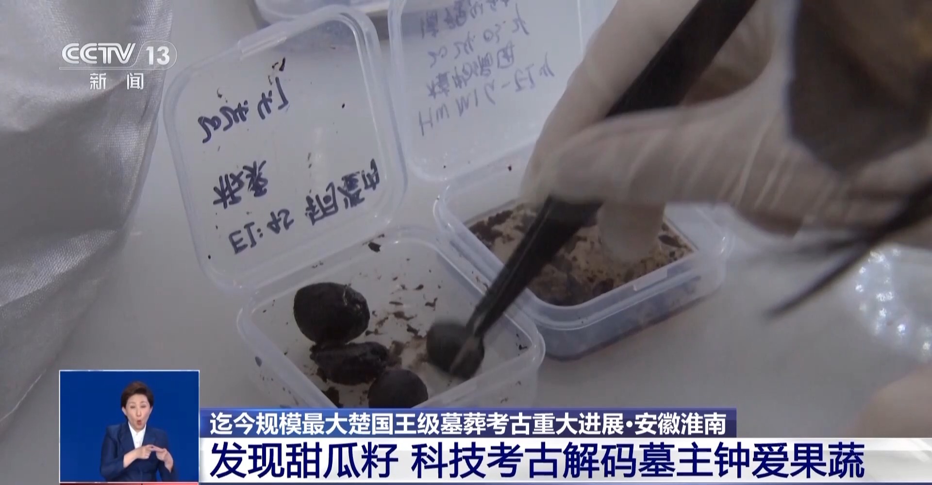 既有栗子又有甜瓜籽，武王墩墓里的果蔬清单大公开！