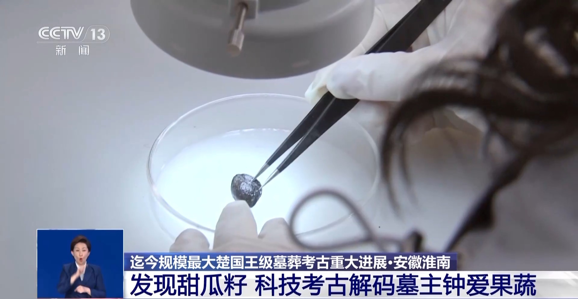 既有栗子又有甜瓜籽，武王墩墓里的果蔬清单大公开！