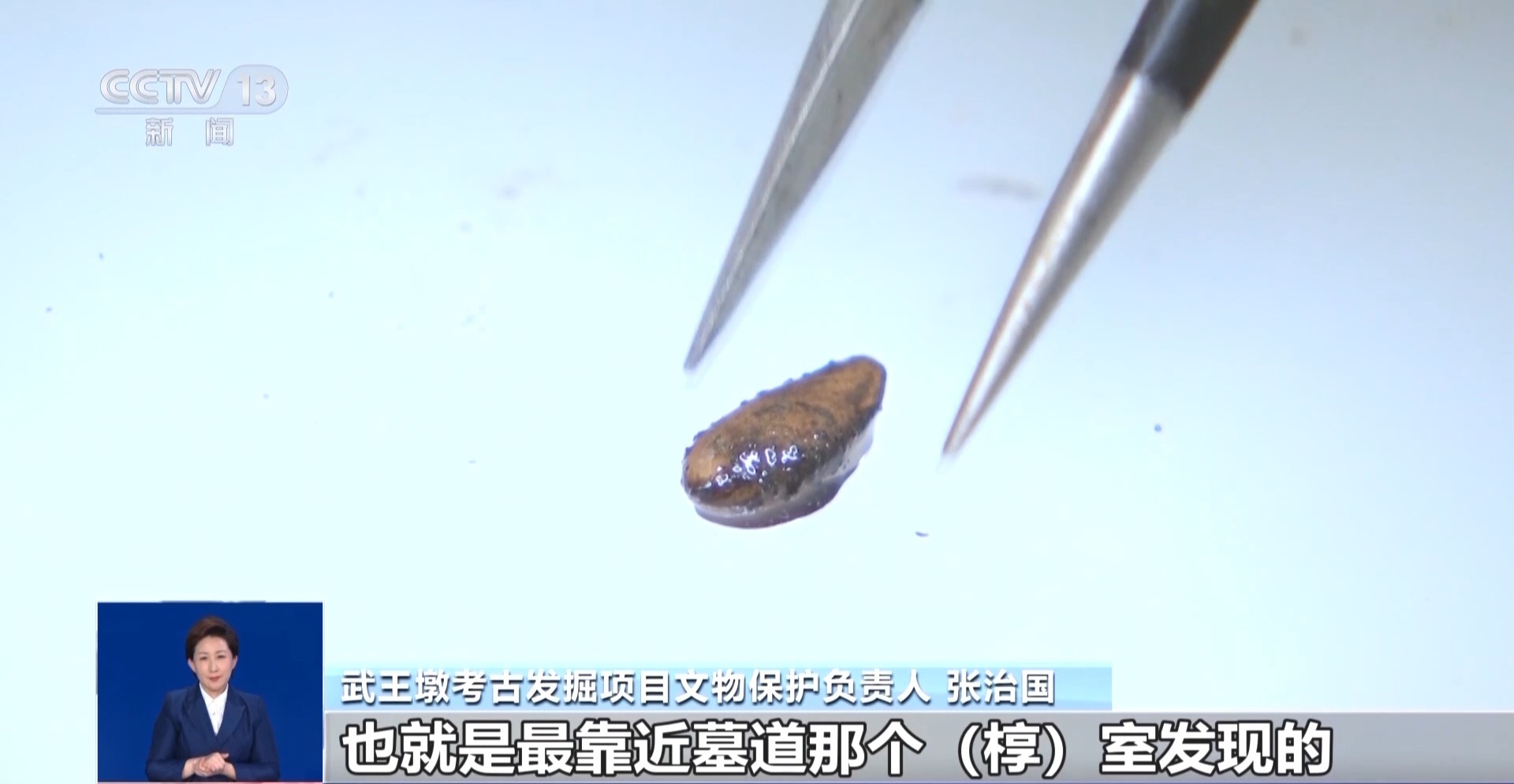既有栗子又有甜瓜籽，武王墩墓里的果蔬清单大公开！