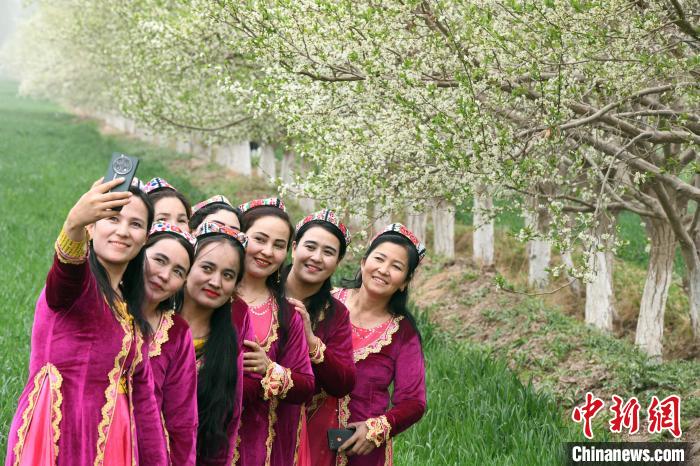 “花”样繁多 新疆南部春天美景绘出美丽“钱景”