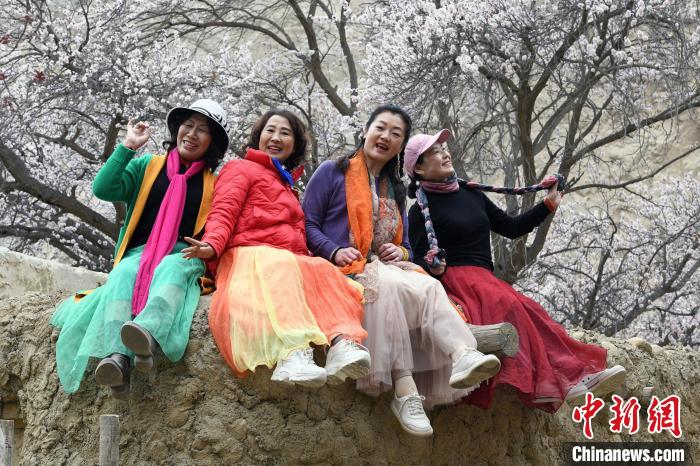 “花”样繁多 新疆南部春天美景绘出美丽“钱景”