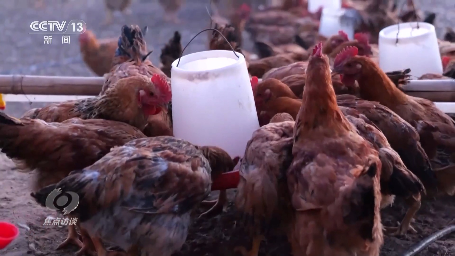 焦点访谈丨在沙漠、在高原 这群劳动者值得被看见