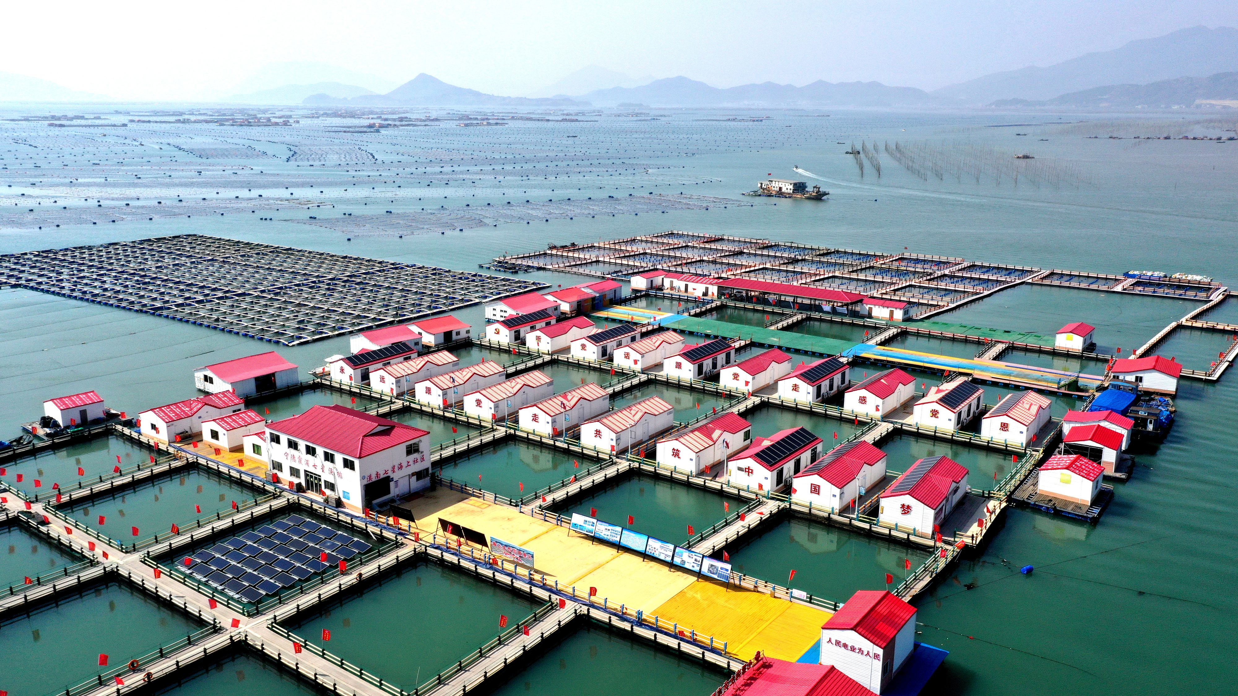 天天学习|“大食物”托起“小幸福” 2024年3月20日,福建省宁德市,霞浦县溪南镇七星村渔排养殖示范区,渔民驾驶养殖船进行海参养殖作业。