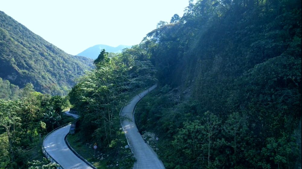 西藏墨脱县卡布村：陌上茶林绿成蹊 香气氤氲满乾坤