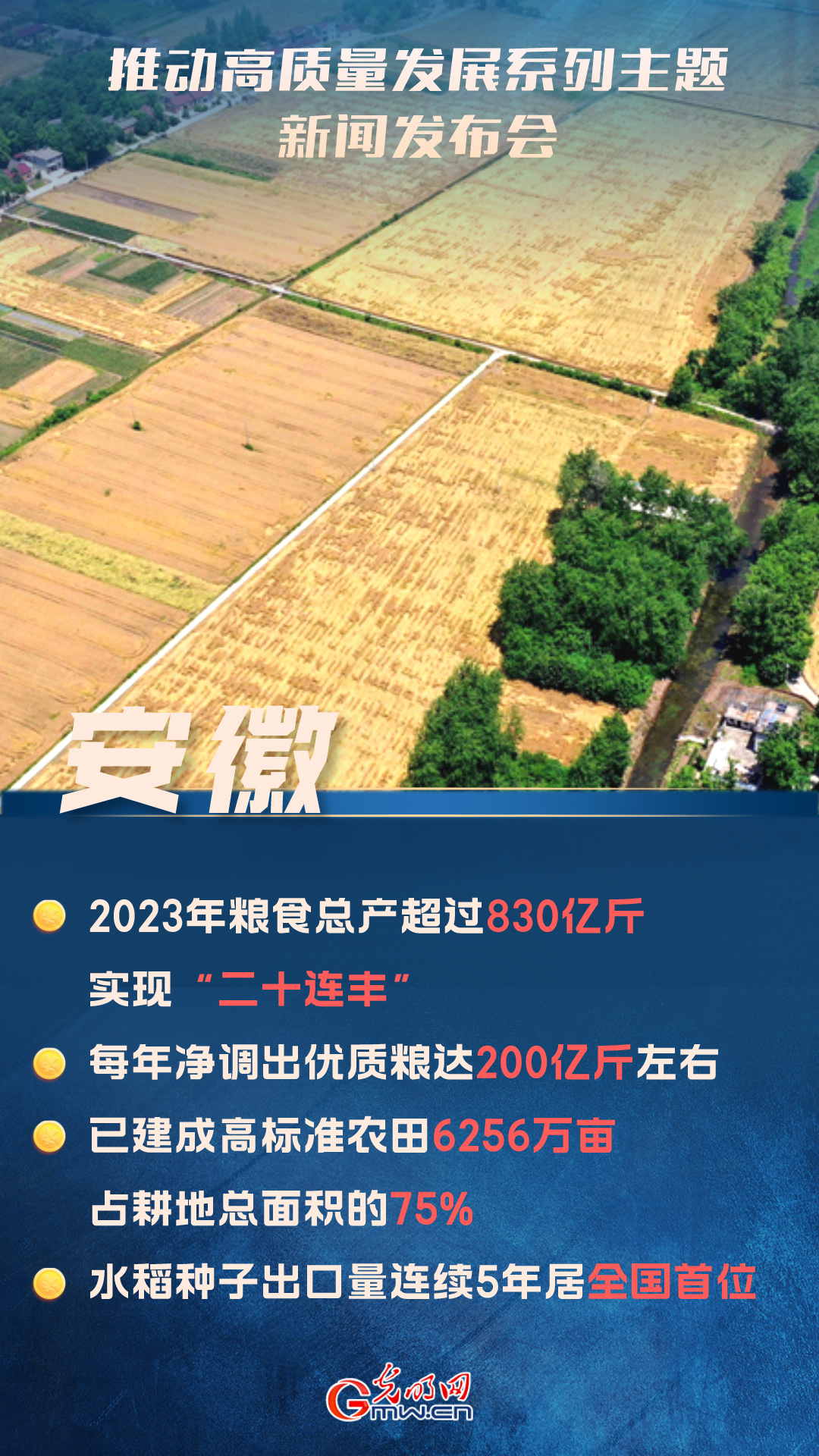 【推动高质量发展】安徽水稻种子出口量连续5年居中国首位